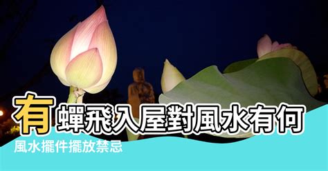 蟬飛到家|【蟬風水】風水擺件擺放禁忌 